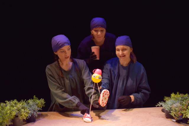 потеряшки Алексеева Анастасия